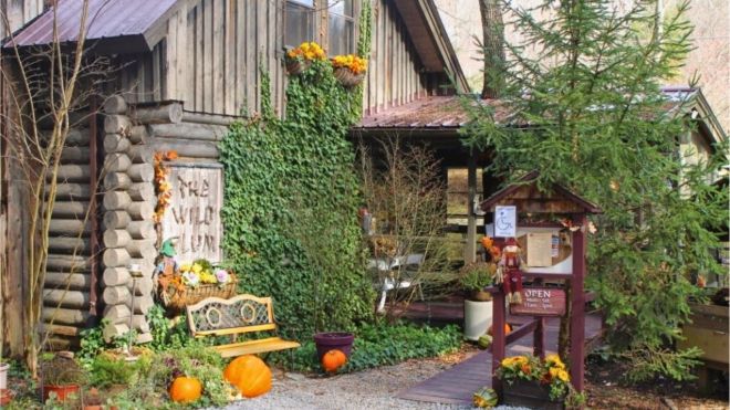 5 Unique Restaurants in Gatlinburg