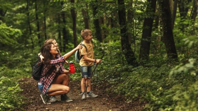 5 Kid-Friendly Hikes in the Smoky Mountains
