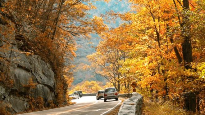 4 Tips for Visiting the Smoky Mountains This Fall