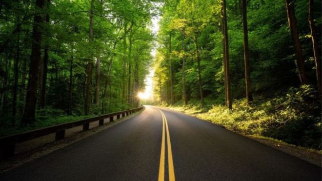 Top 5 Scenic Drives in the Smoky Mountains