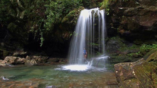 Smoky Mountains: Things to Do in June
