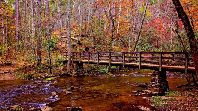 Best Time to See Fall Colors in the Smoky Mountains