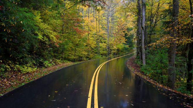 Fall in the Smoky Mountains: Everything You Need to Know
