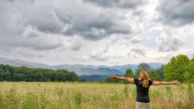 Pigeon Forge & Gatlinburg: The Best Places to Vacation in Tennessee