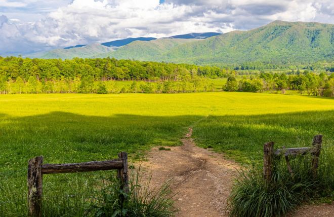 Best Hiking Trails in Cades Cove, TN