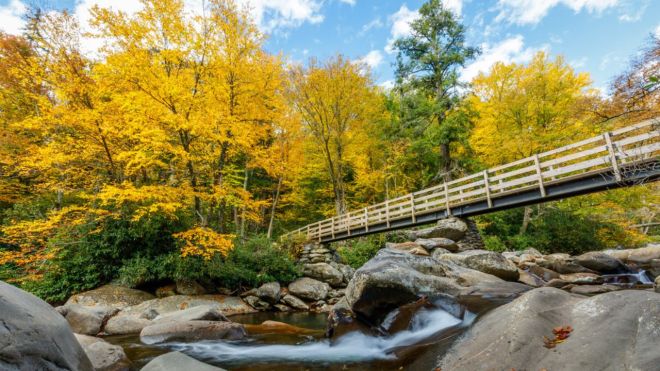 Top 6 Prettiest Areas in the Great Smoky Mountains
