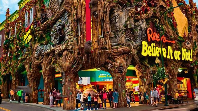 Top 10 Ideas for an Unforgettable Gatlinburg Vacation