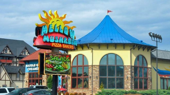 Image for Thing To Do Mellow Mushroom