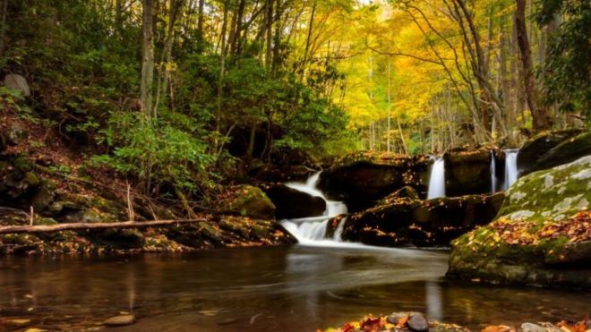 Top 8 Places to View Fall Colors in the Smoky Mountains