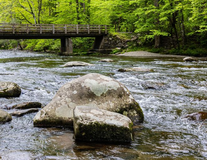 Image for Thing To Do Picnic Spots in the Smoky Mountains