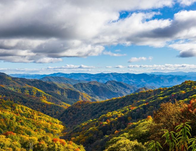Image for Thing To Do Fall Experiences in the Smoky Mountains