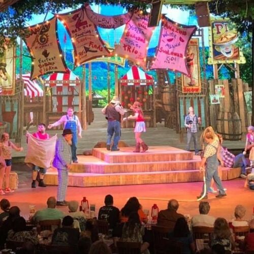 Image for Thing To Do Pigeon Forge Shows